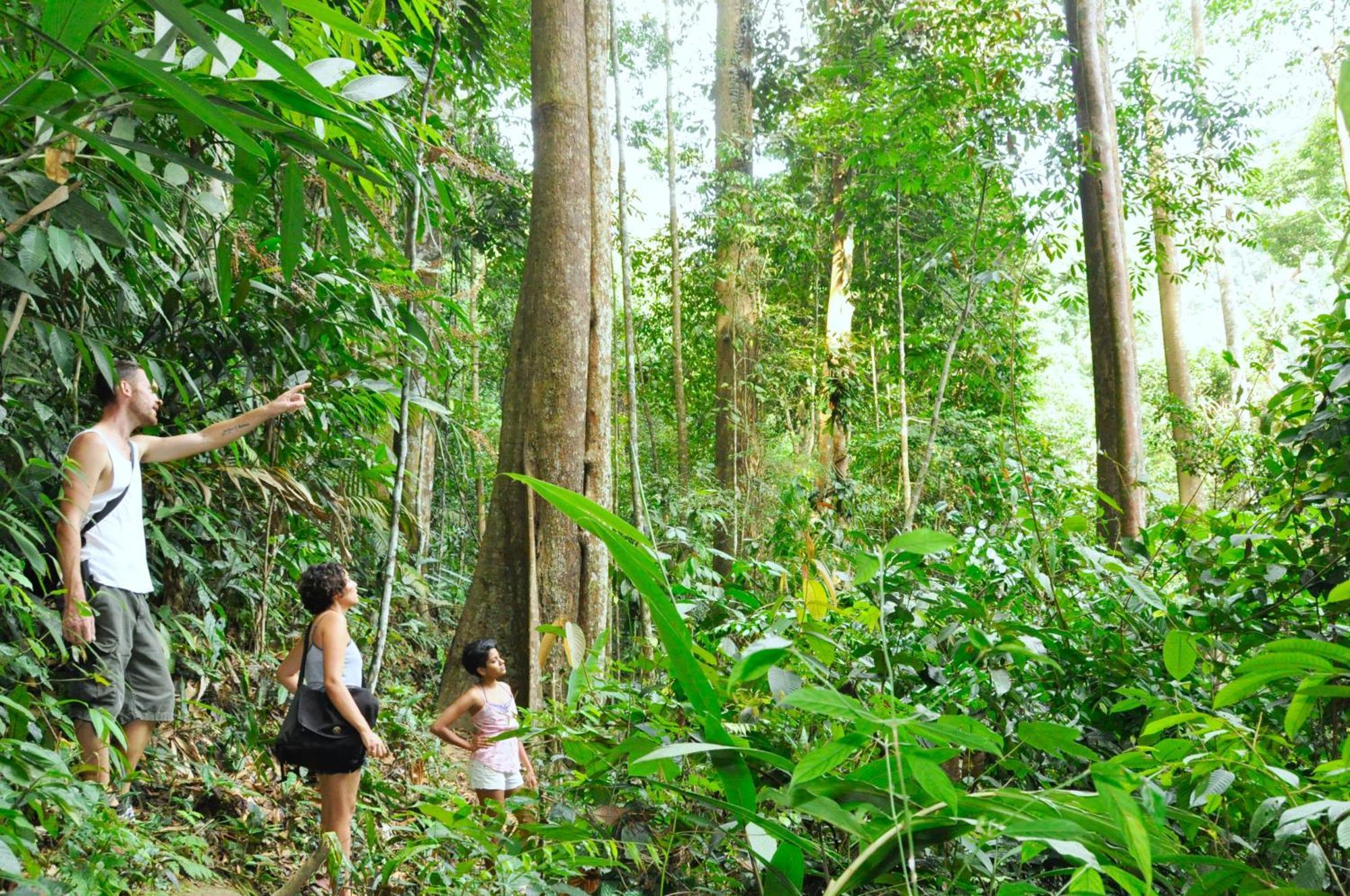 Vila The Dusun Seremban Exteriér fotografie