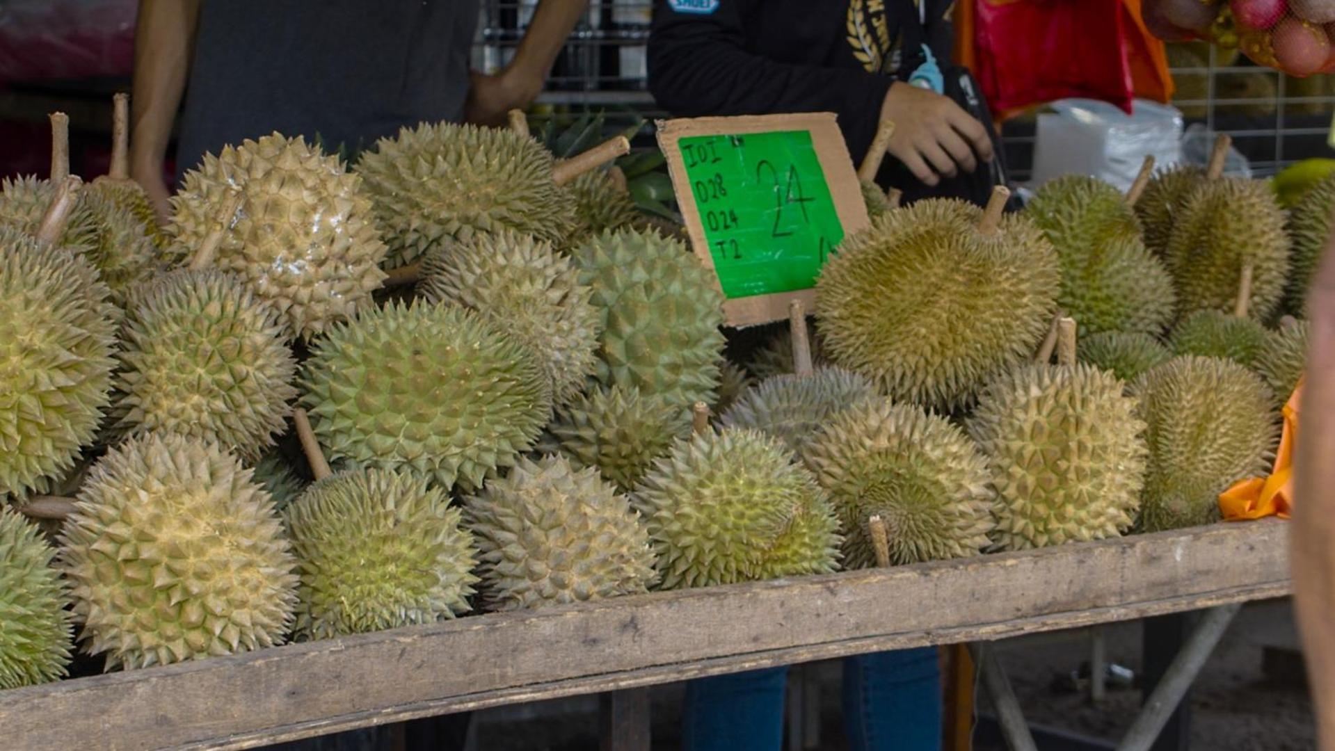Vila The Dusun Seremban Exteriér fotografie